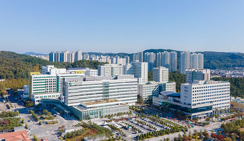 2027학년도 데이터의학과 신설